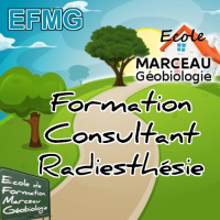 deco-formation-consultant-radiesthesie
